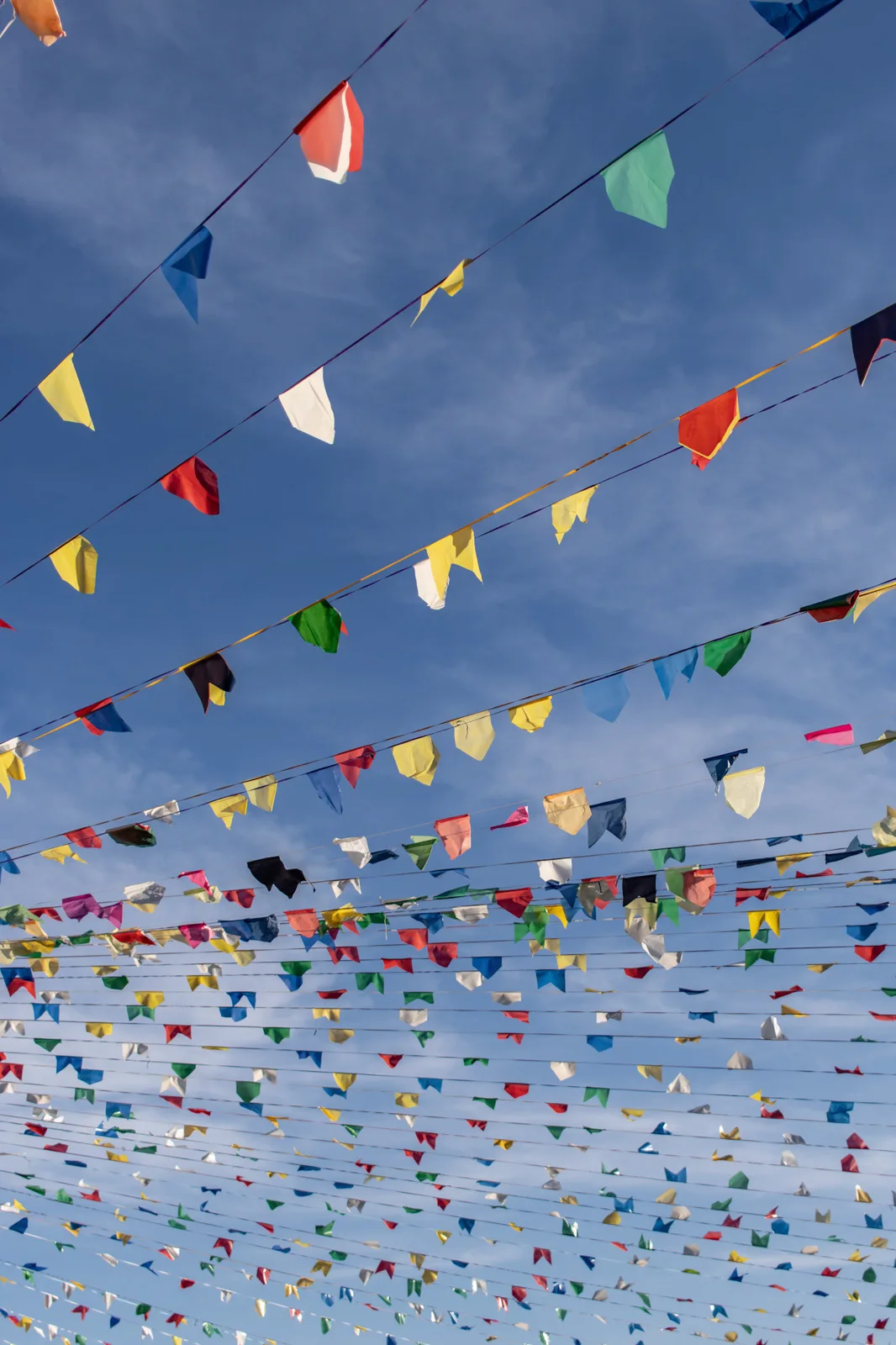 Festa Junina · MOAS — fotografia 9