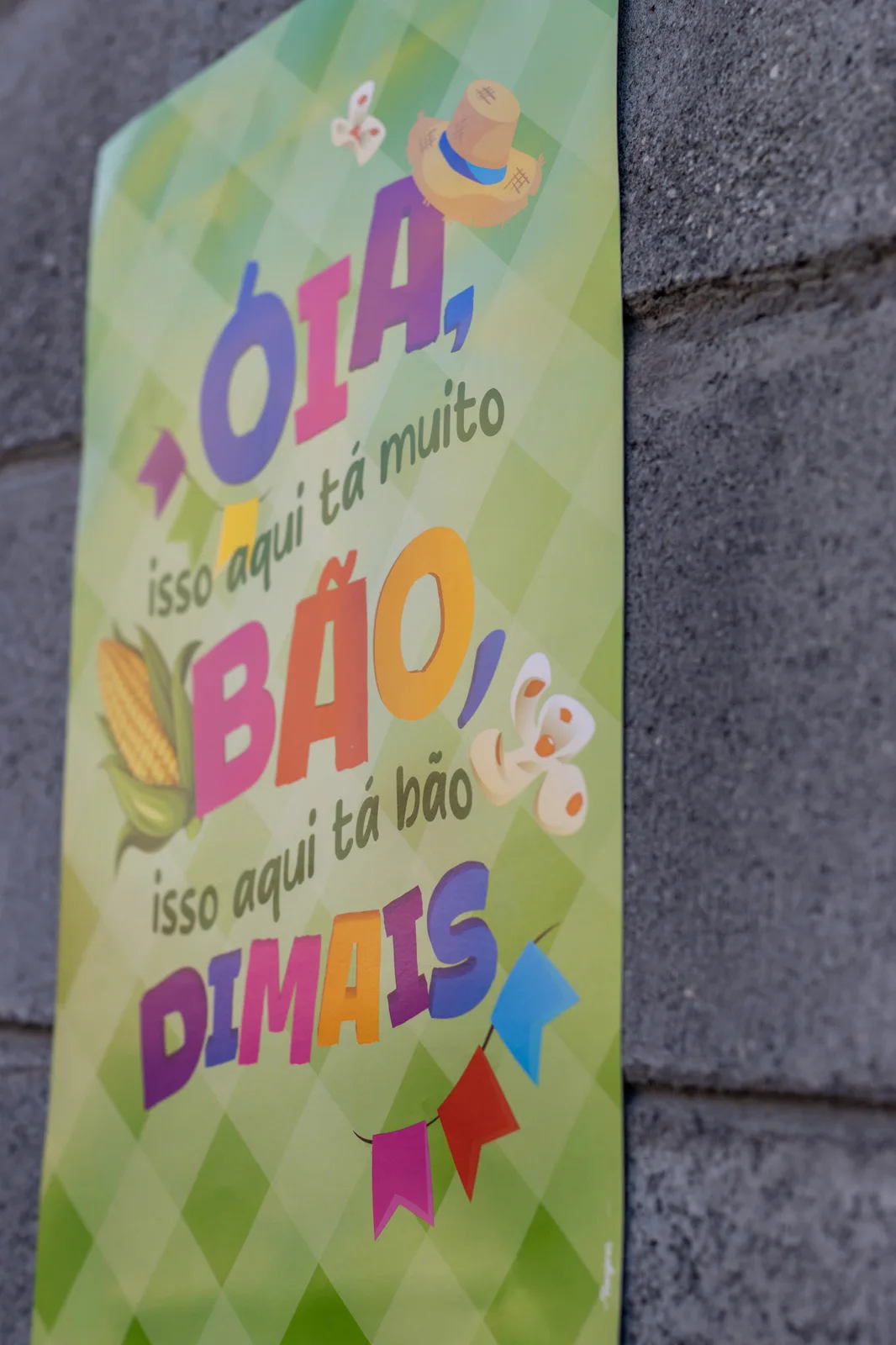Festa Junina · MOAS — fotografia 14