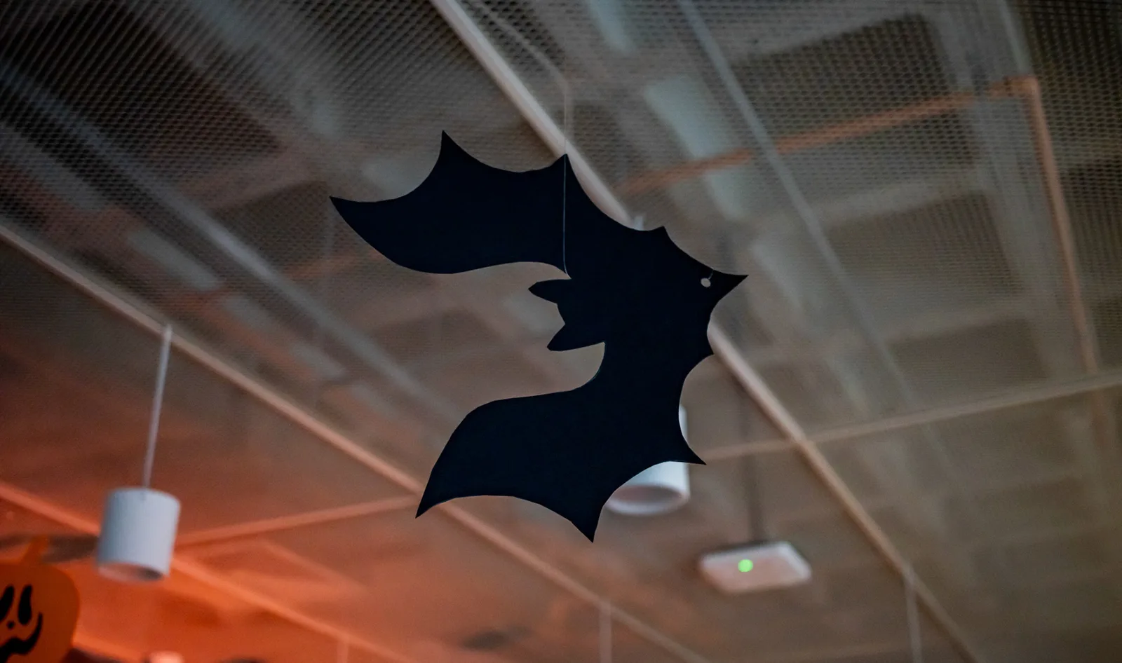Halloween · MOAS — fotografia 1
