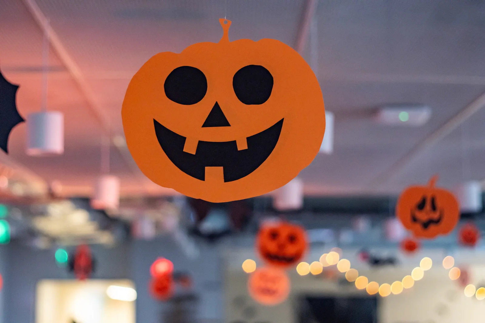 Halloween · MOAS — fotografia 3
