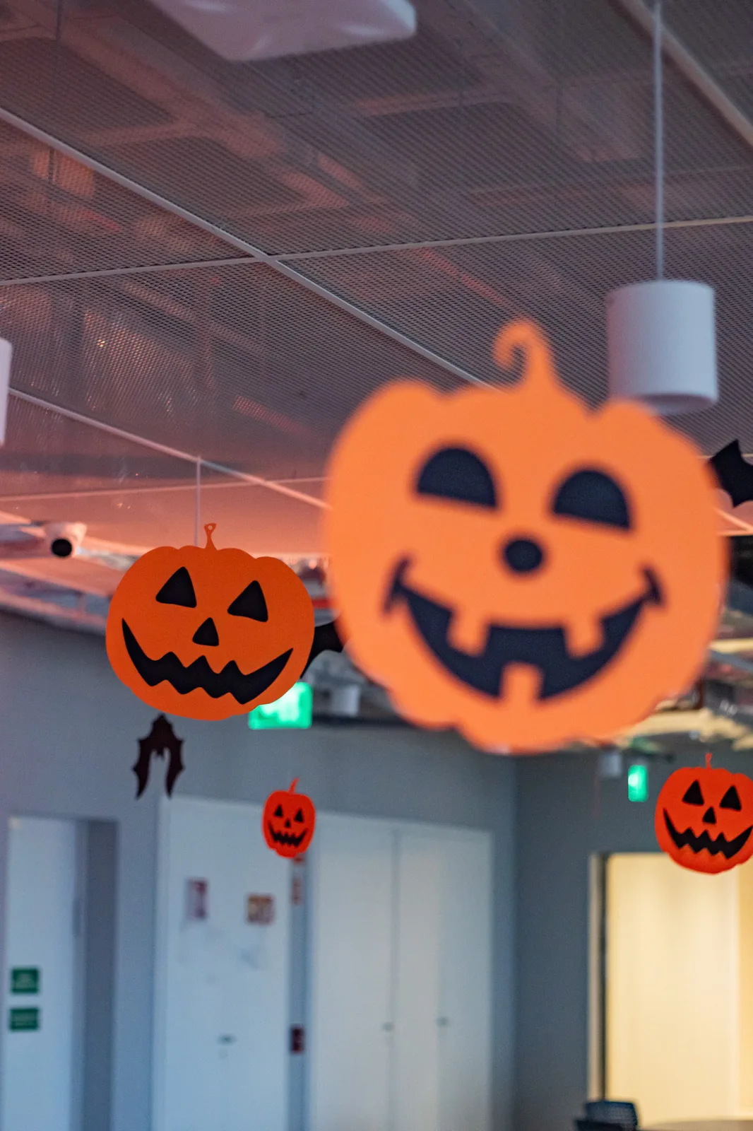 Halloween · MOAS — fotografia 4