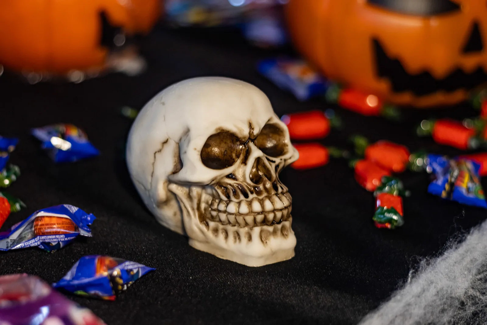 Halloween · MOAS — fotografia 5