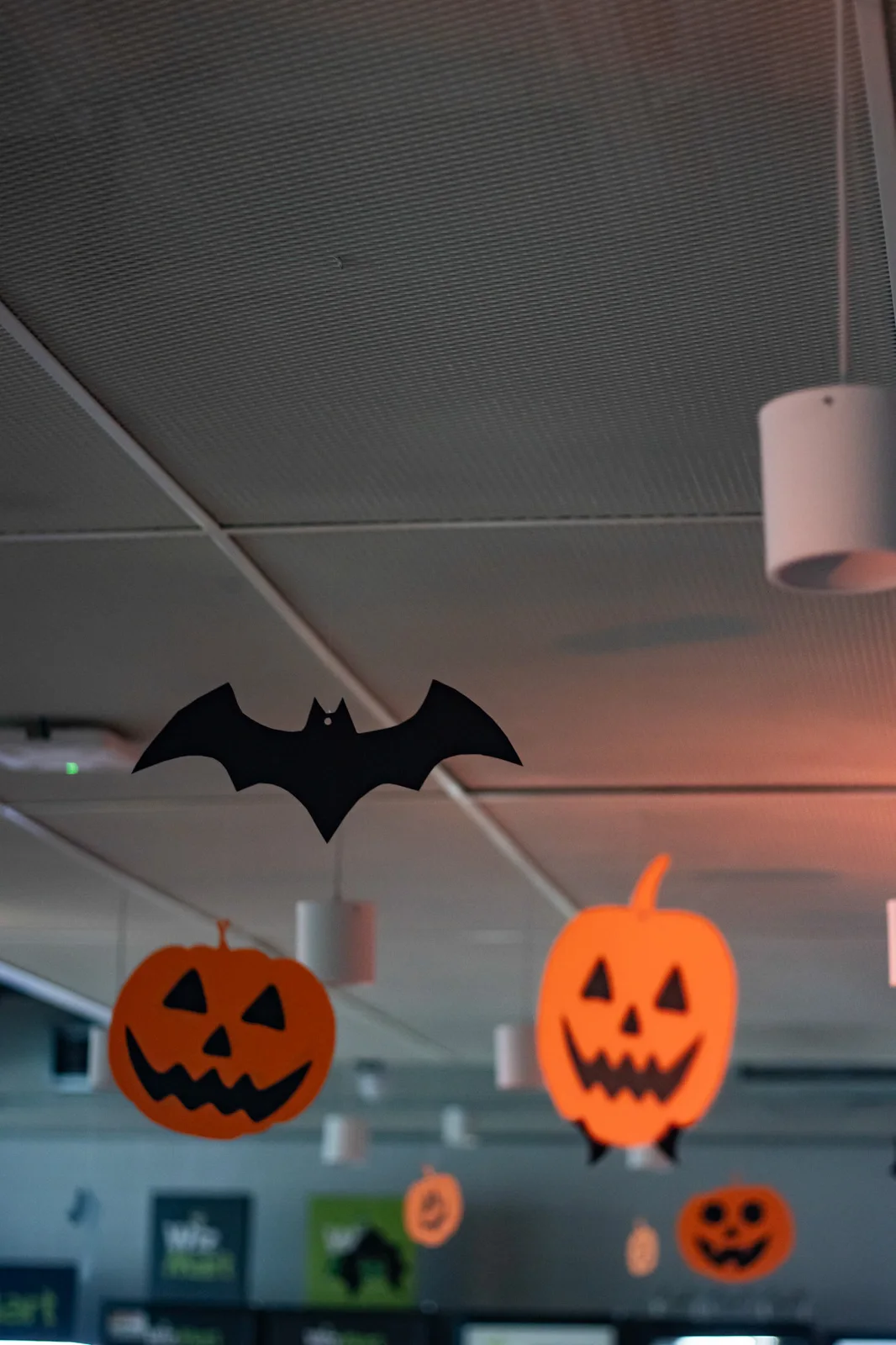 Halloween · MOAS — fotografia 9