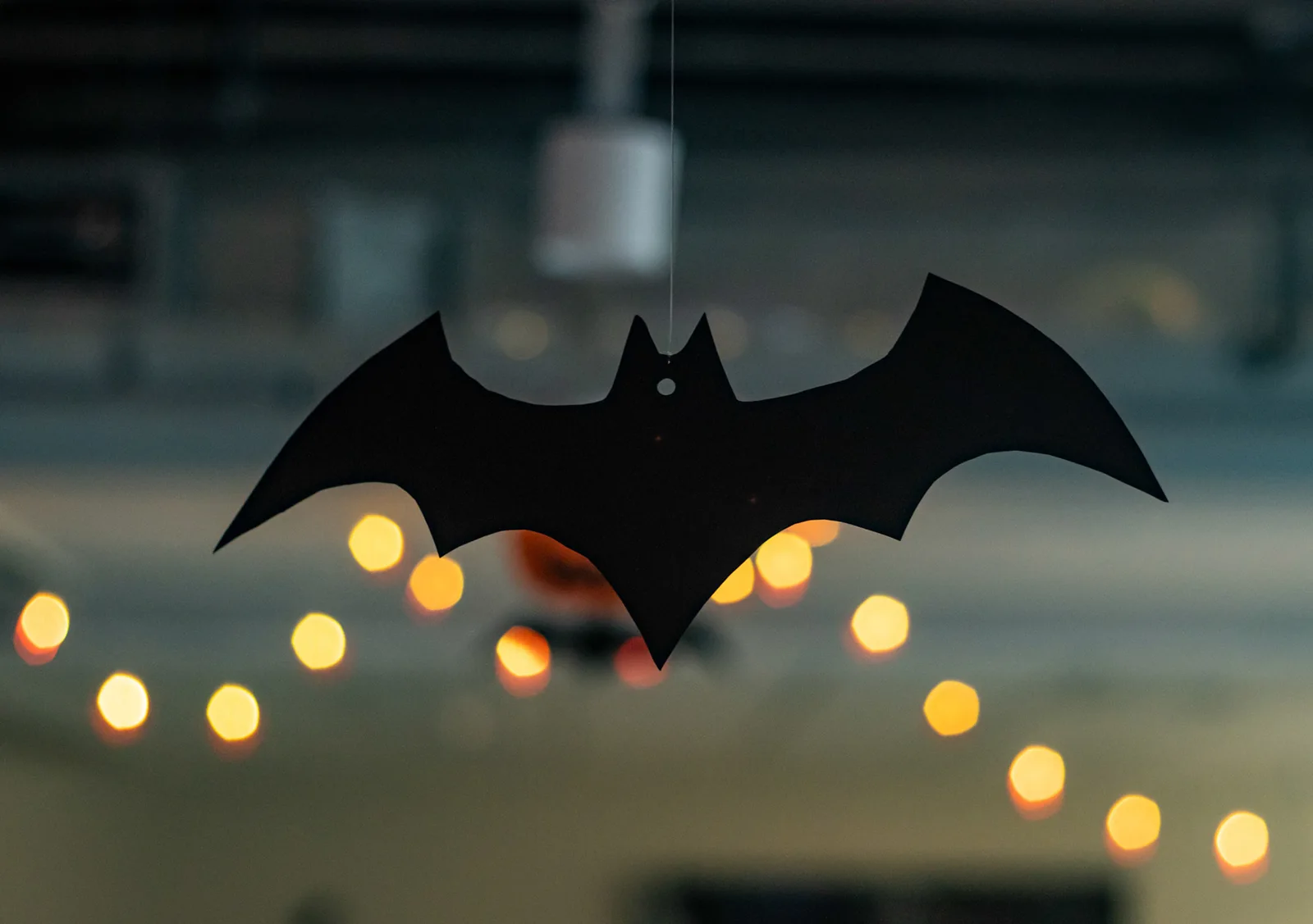 Halloween · MOAS — fotografia 12