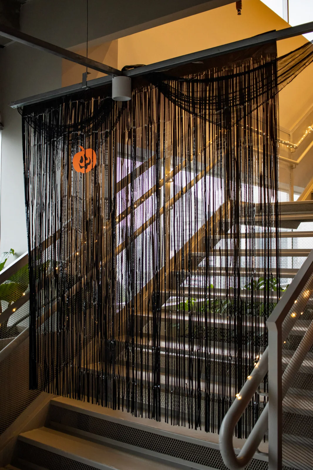 Halloween · MOAS — fotografia 17