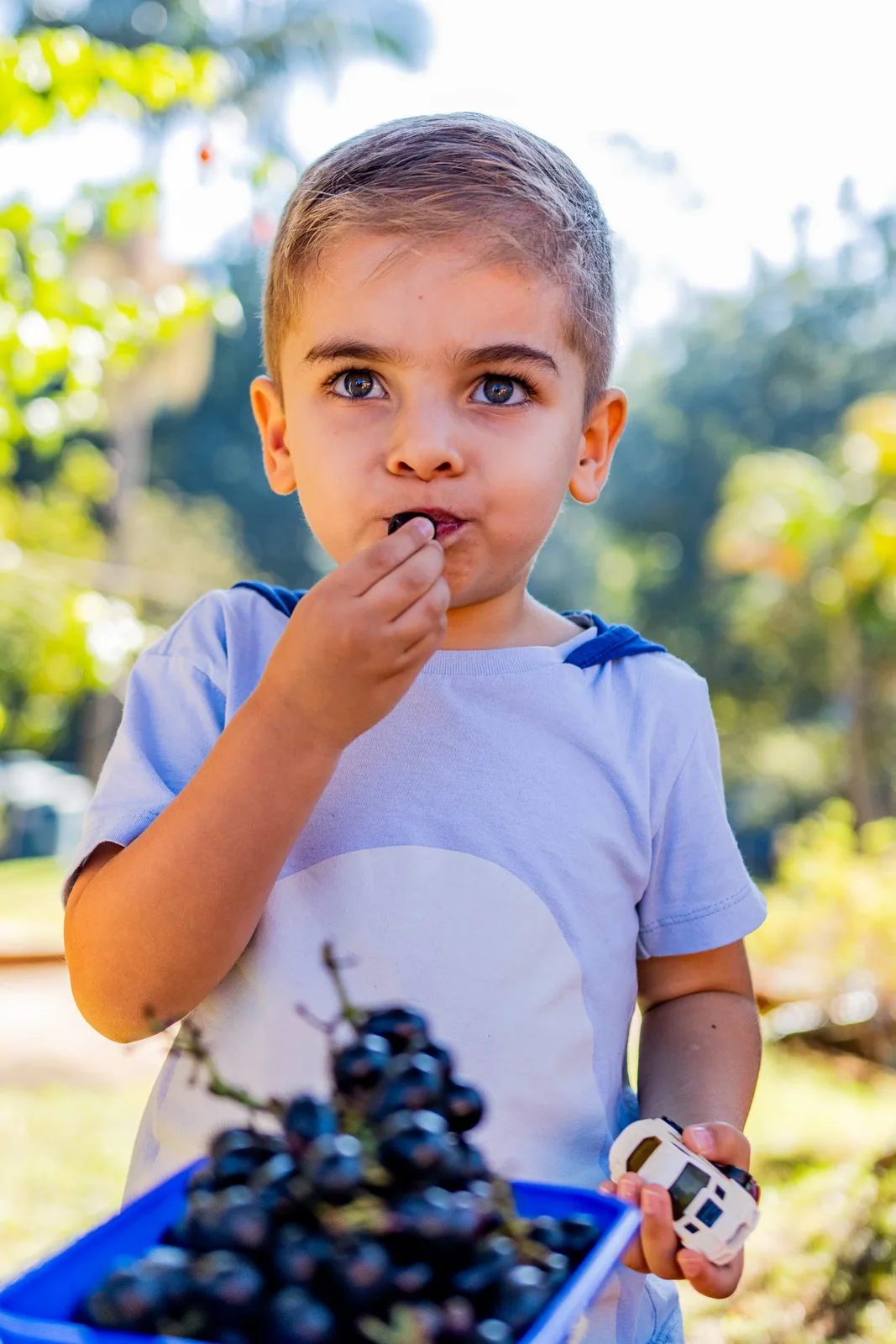 Maitê · 3 anos — fotografia 58