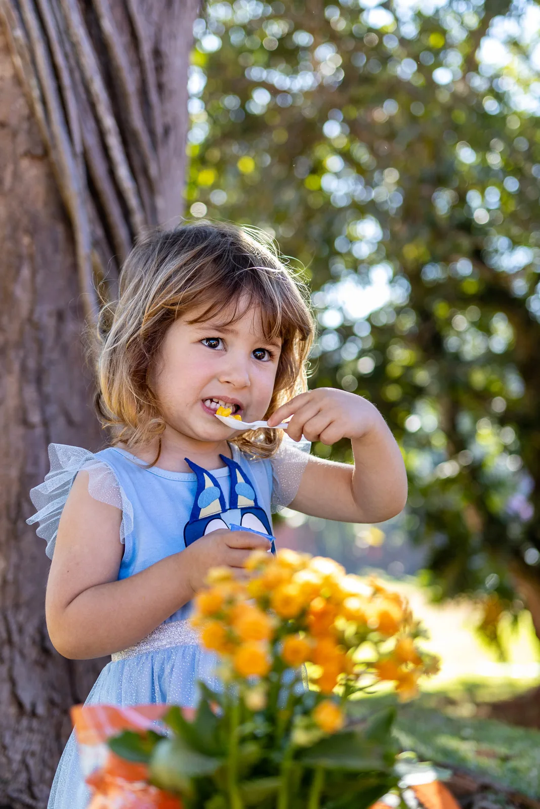 Maitê · 3 anos — fotografia 61