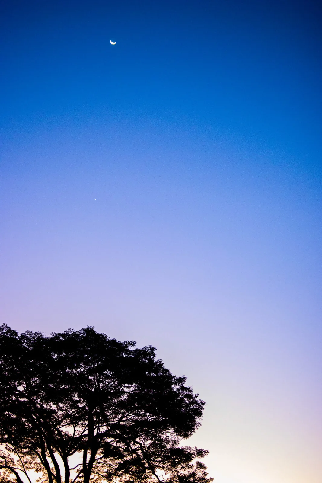 Maitê · 3 anos — fotografia 180