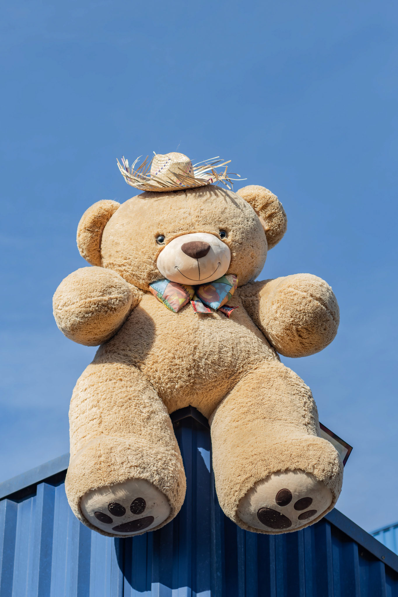 Festa Junina Moas 2025